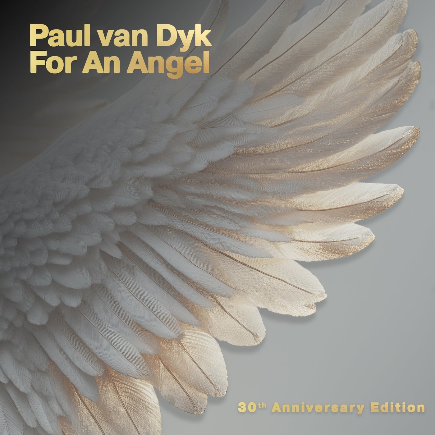 Cover - Paul van Dyk - For An Angel (LOUT Remix)