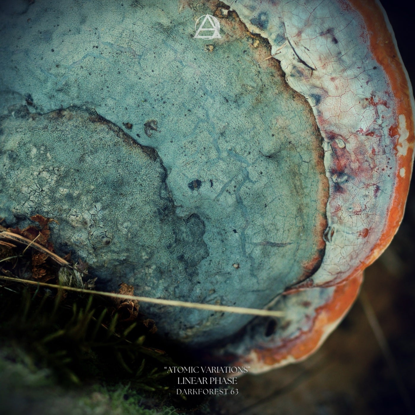 Cover - Linear Phase - Primitive Environment (Original Mix)