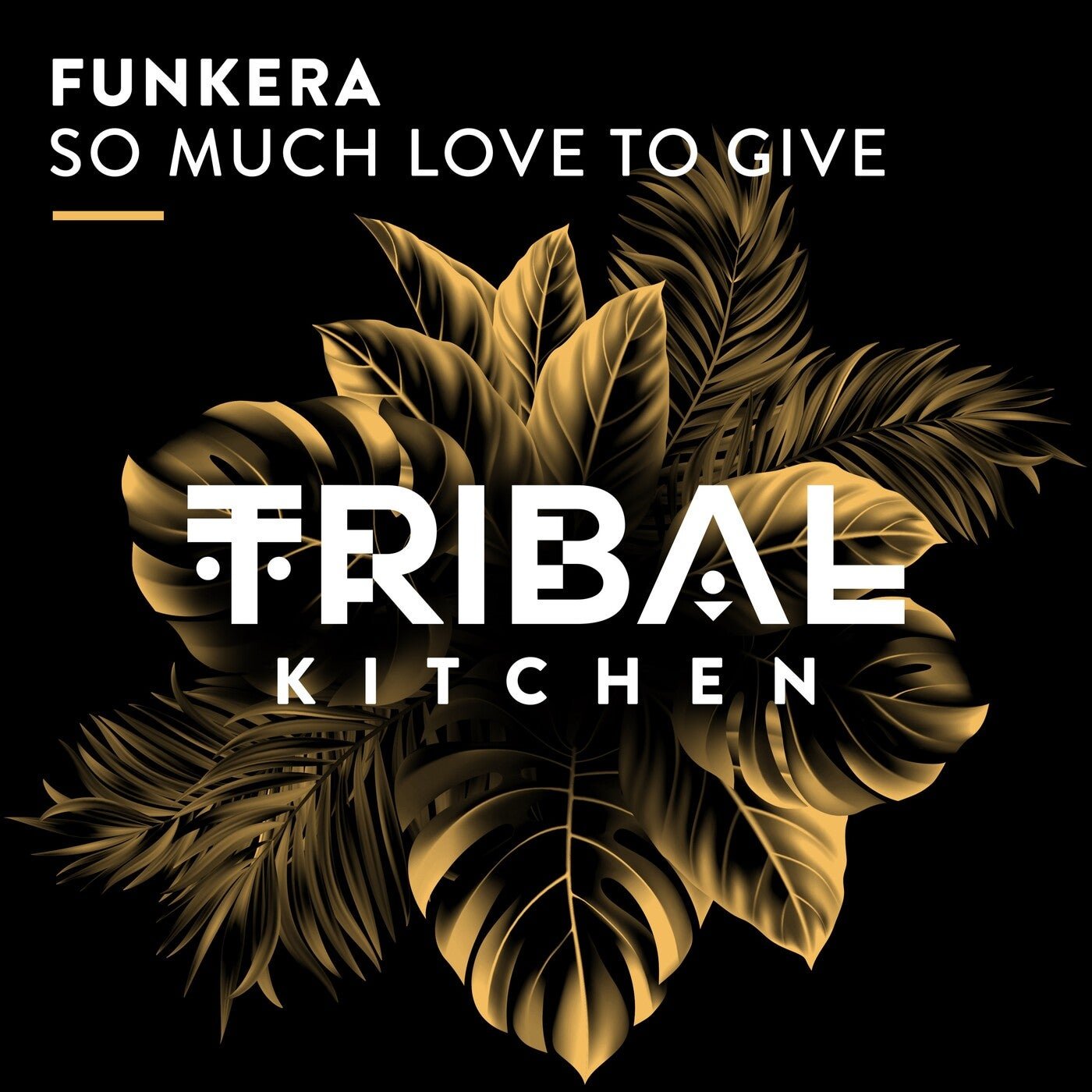 Cover - Funkera - So Much Love to Give (Extended Mix)