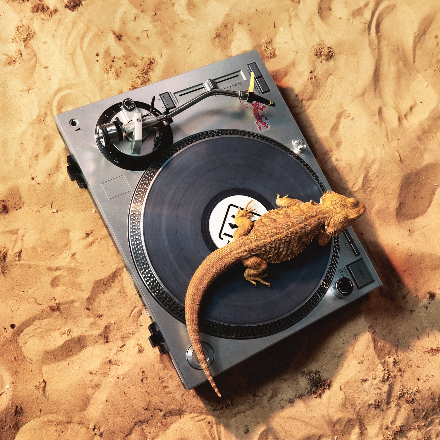 Cover - X-Coast - Desert Storm (Original Mix)