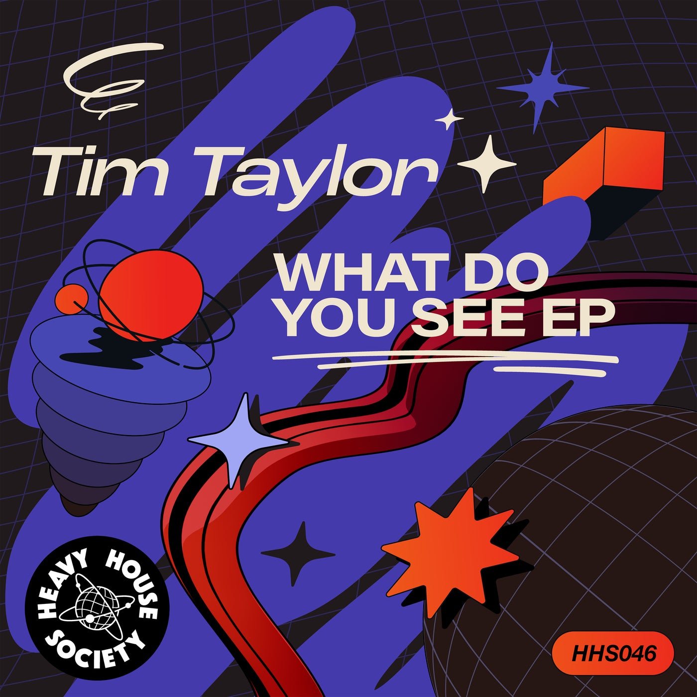 Cover - Tim Taylor (UK) - What Do You See? (Original Mix)