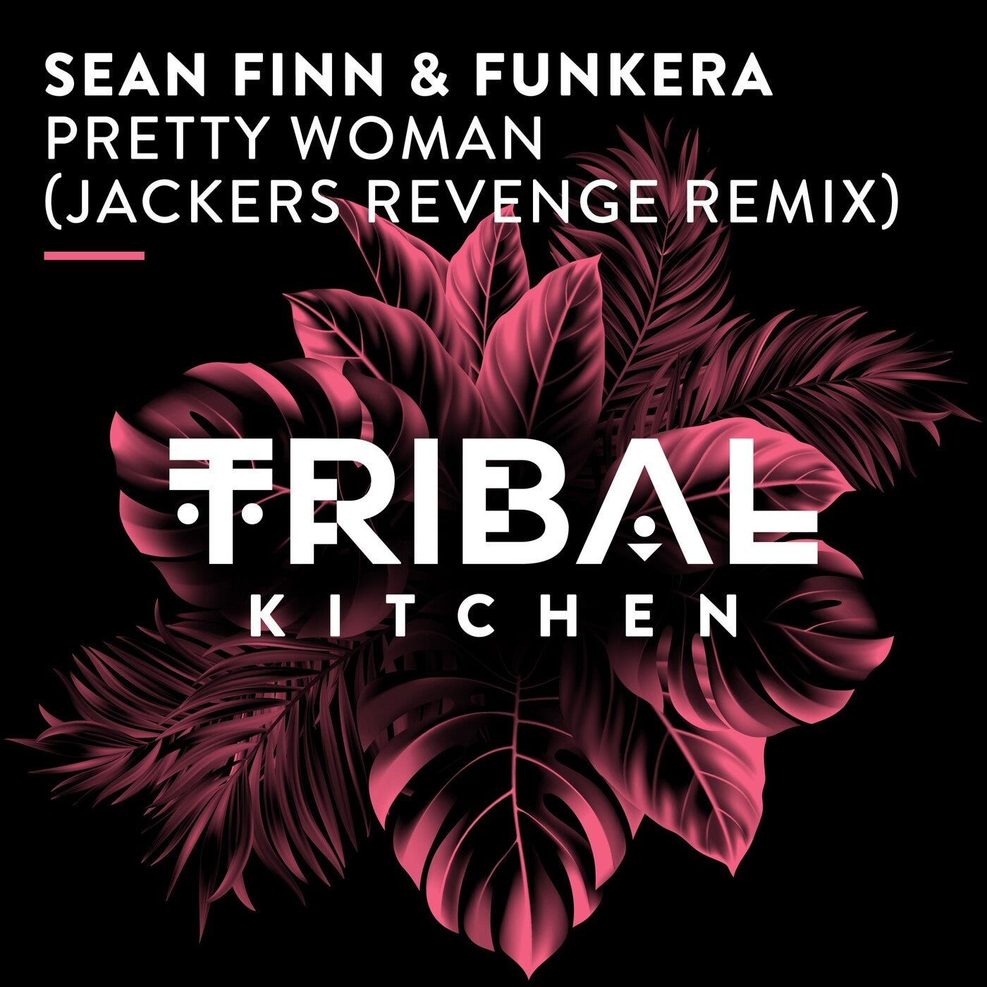 Cover - Sean Finn, Funkera - Pretty Woman (Jackers Revenge Extended Remix)