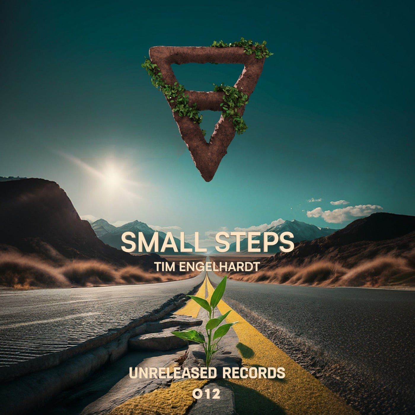 Cover - Tim Engelhardt - Small Steps (Extended Mix)