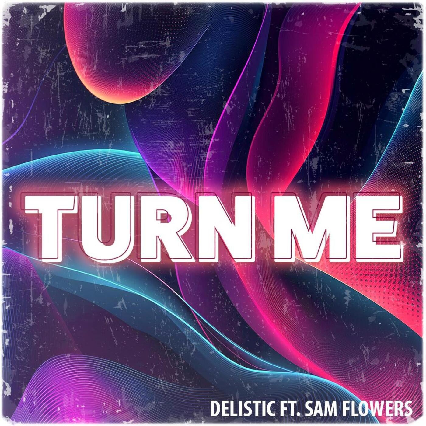 Cover - Delistic, Sam Flowers - Turn Me (Original Mix)