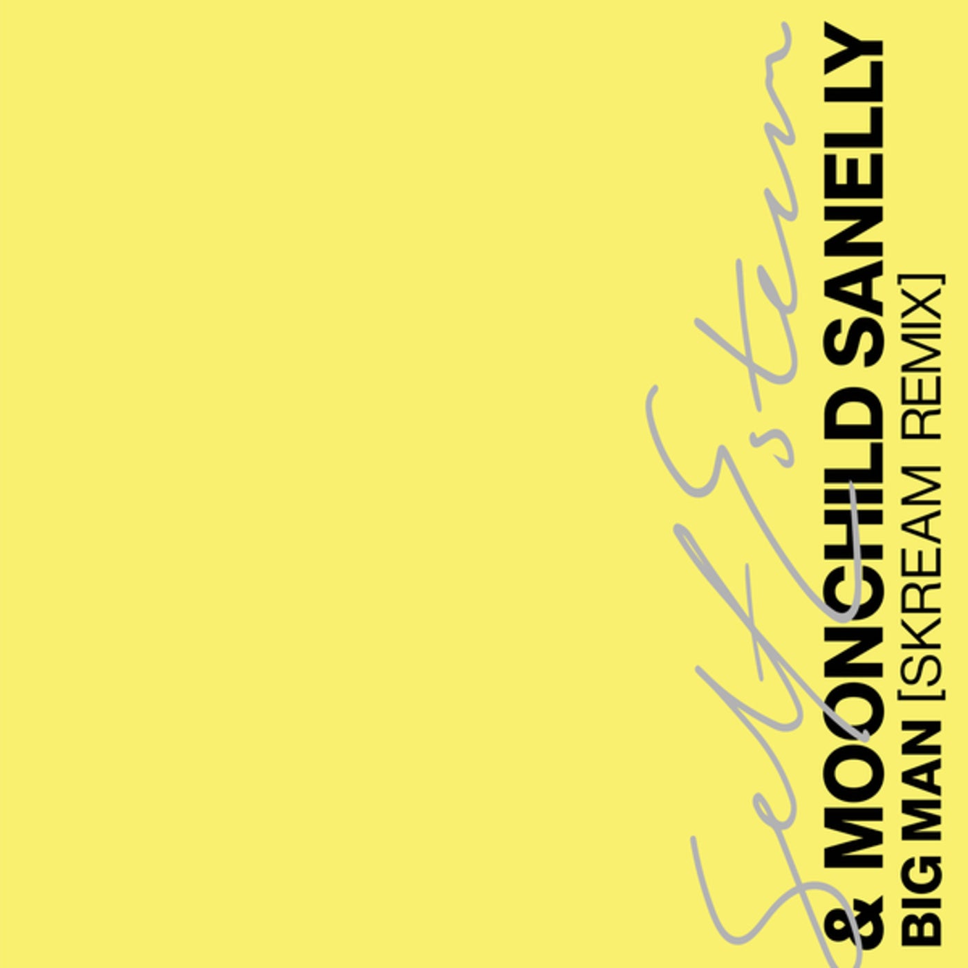 Cover - Skream, Self Esteem, Moonchild Sanelly - Big Man (Skream Remix)