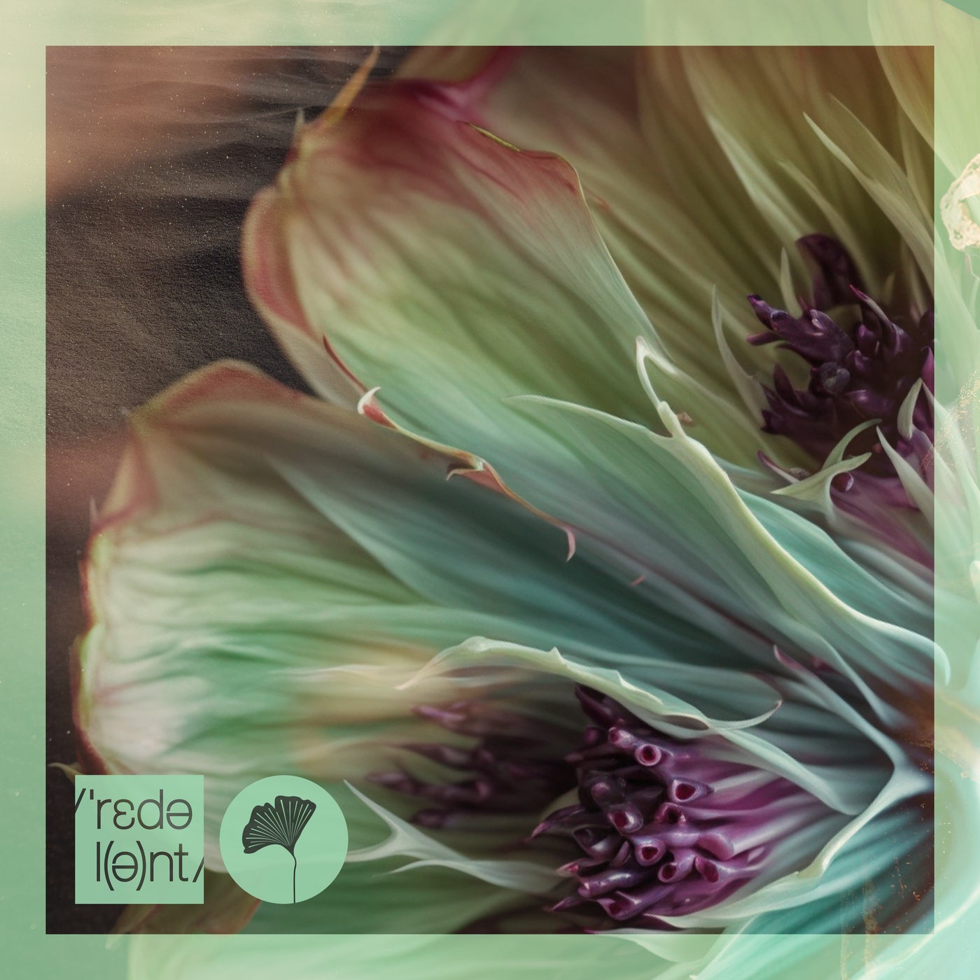 Cover - Augusto Yepes, Maité Inaé, Talón (US) - Oxossi (Original Mix)