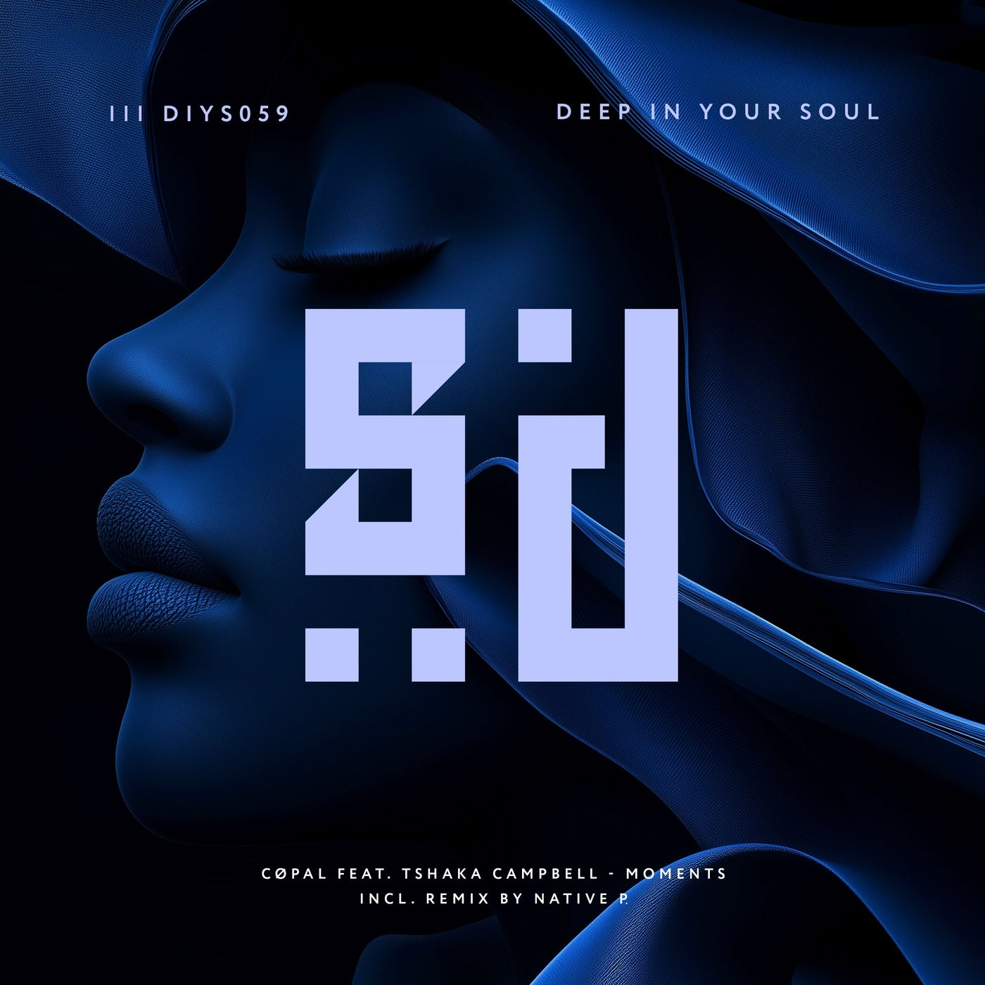 Cover - Tshaka Campbell, Copal - Moments (Native P. Remix)