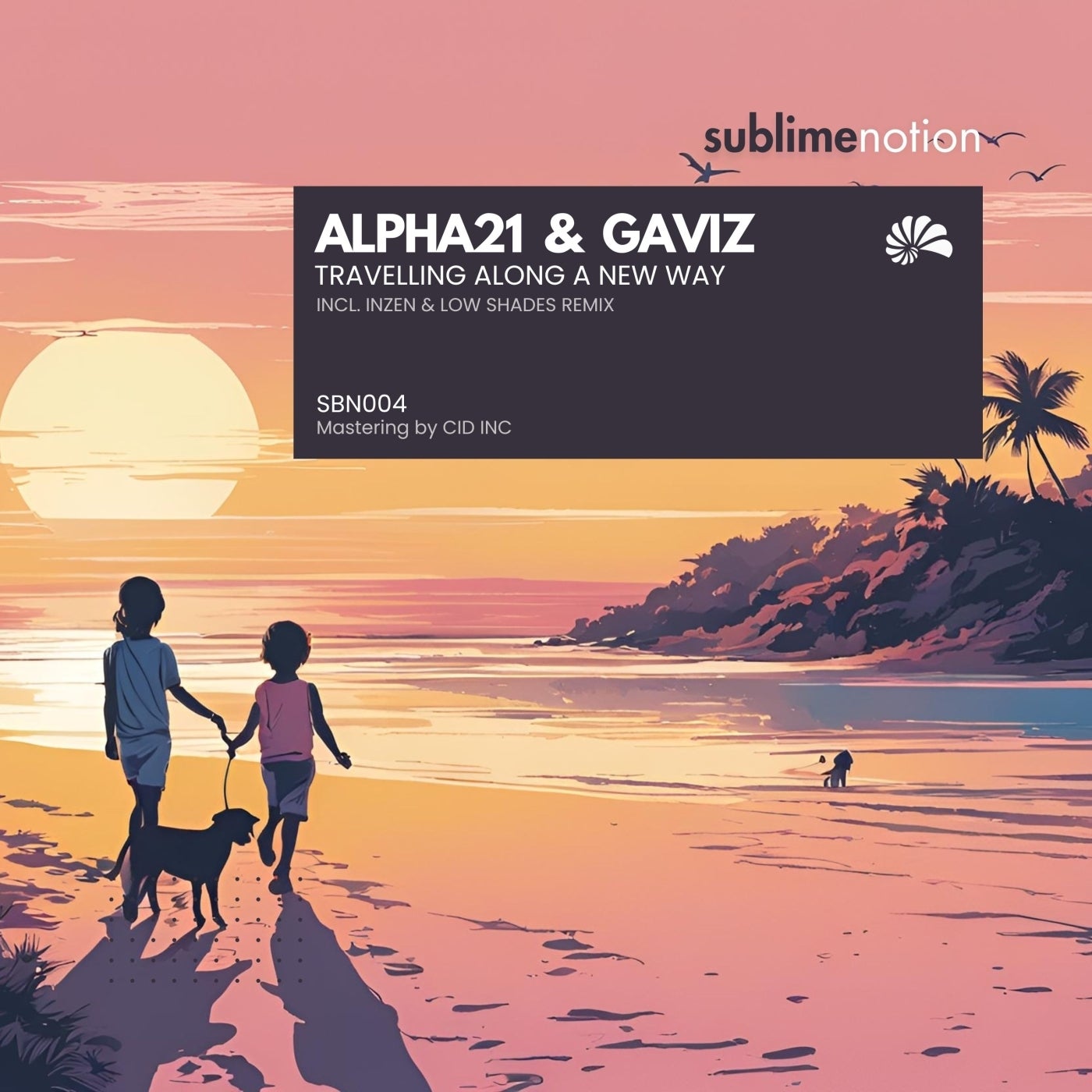Cover - ALPHA21, Gaviz - Travelling Along a New Way (Original Mix)