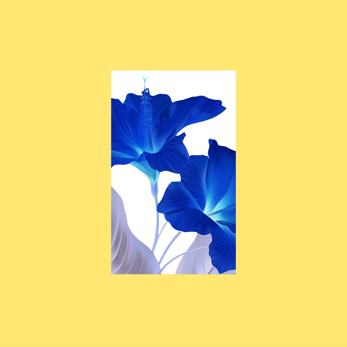 Cover - Budakid - Lovin' Sun (Renato Cohen Remix)