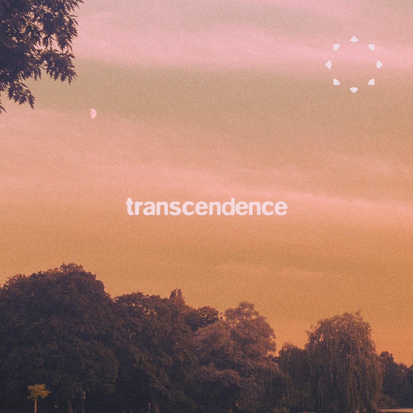 Cover - DJ Sonnenbrand - Transcendence (Original Mix)