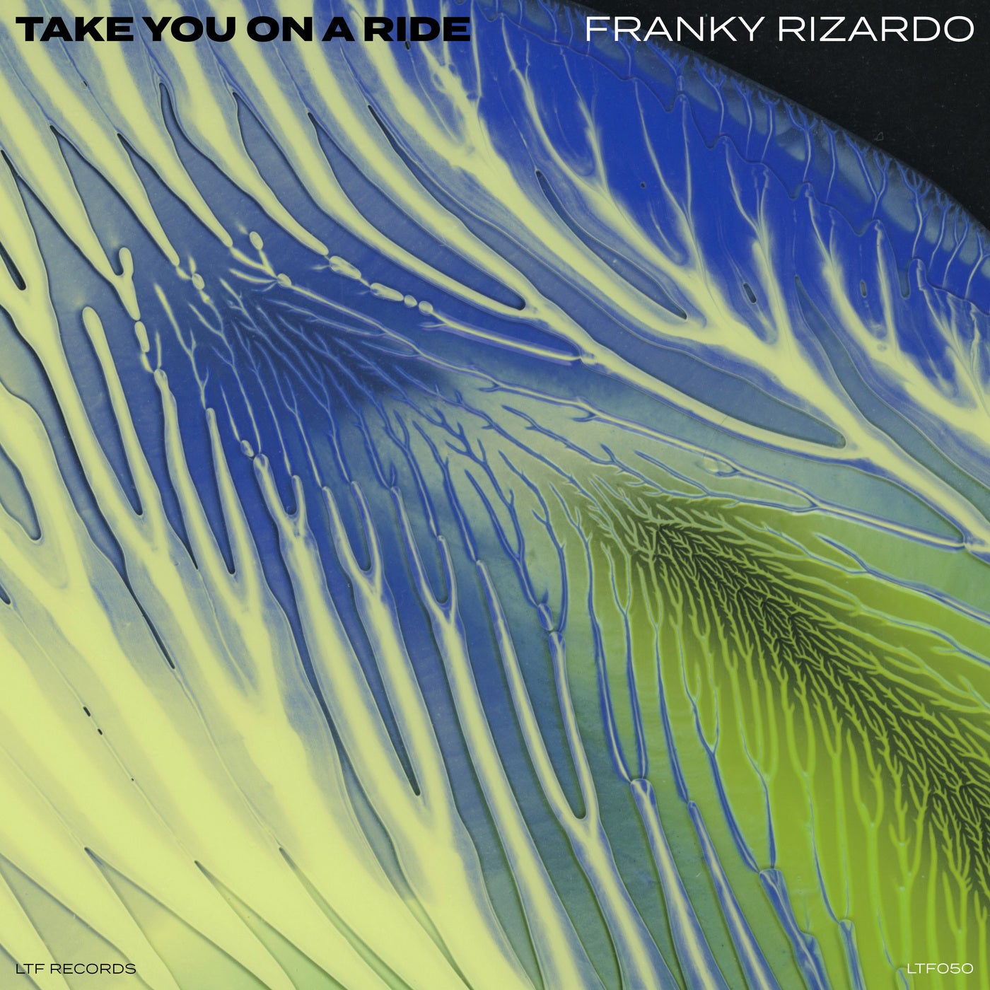 Cover - Franky Rizardo - Take You On A Ride (Original Mix)