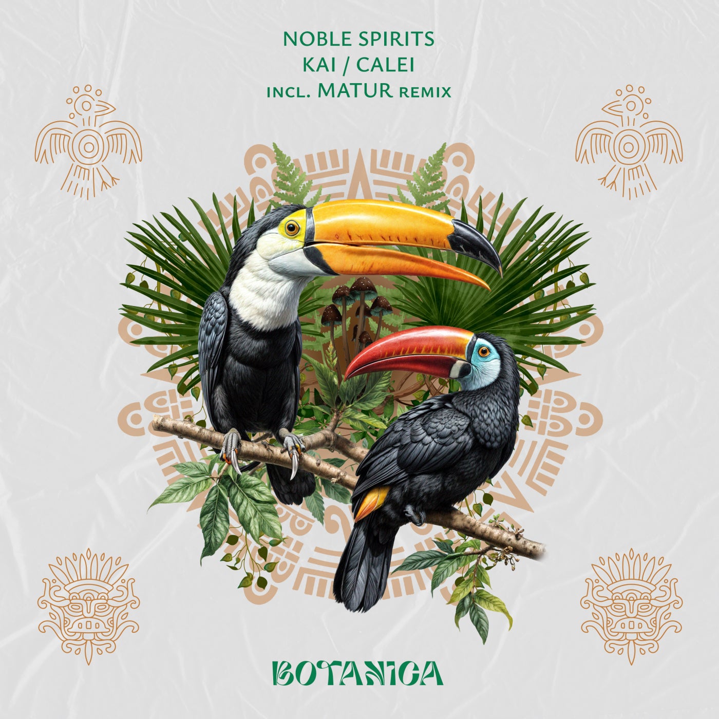 Cover - Noble Spirits - Kai (Matur Remix)