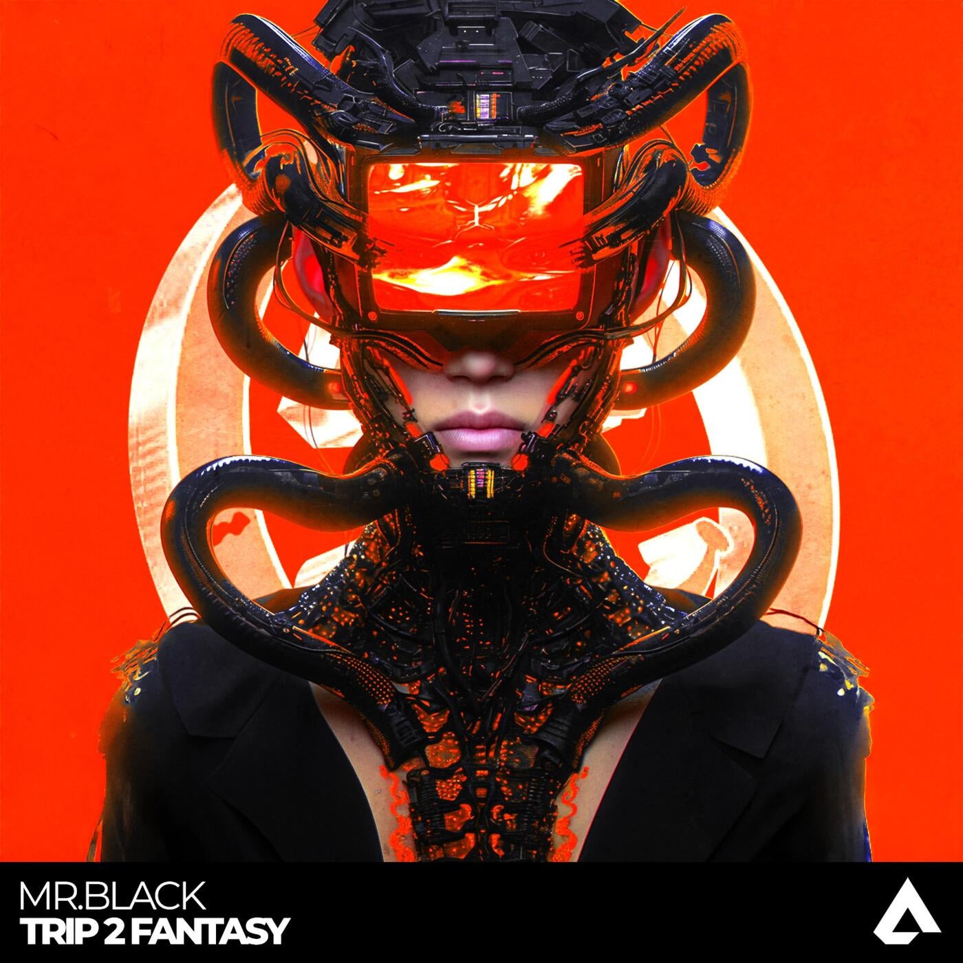 Cover - Mr.Black - Trip 2 Fantasy (Original Mix)