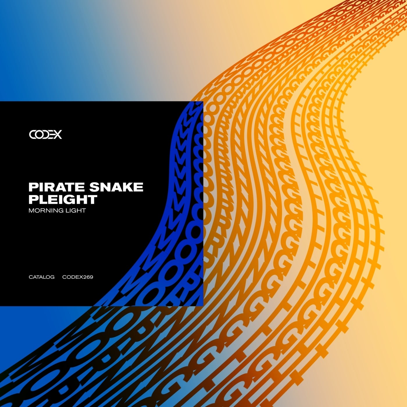 Cover - Pirate Snake, Pleight - Morning Light (Original Mix)