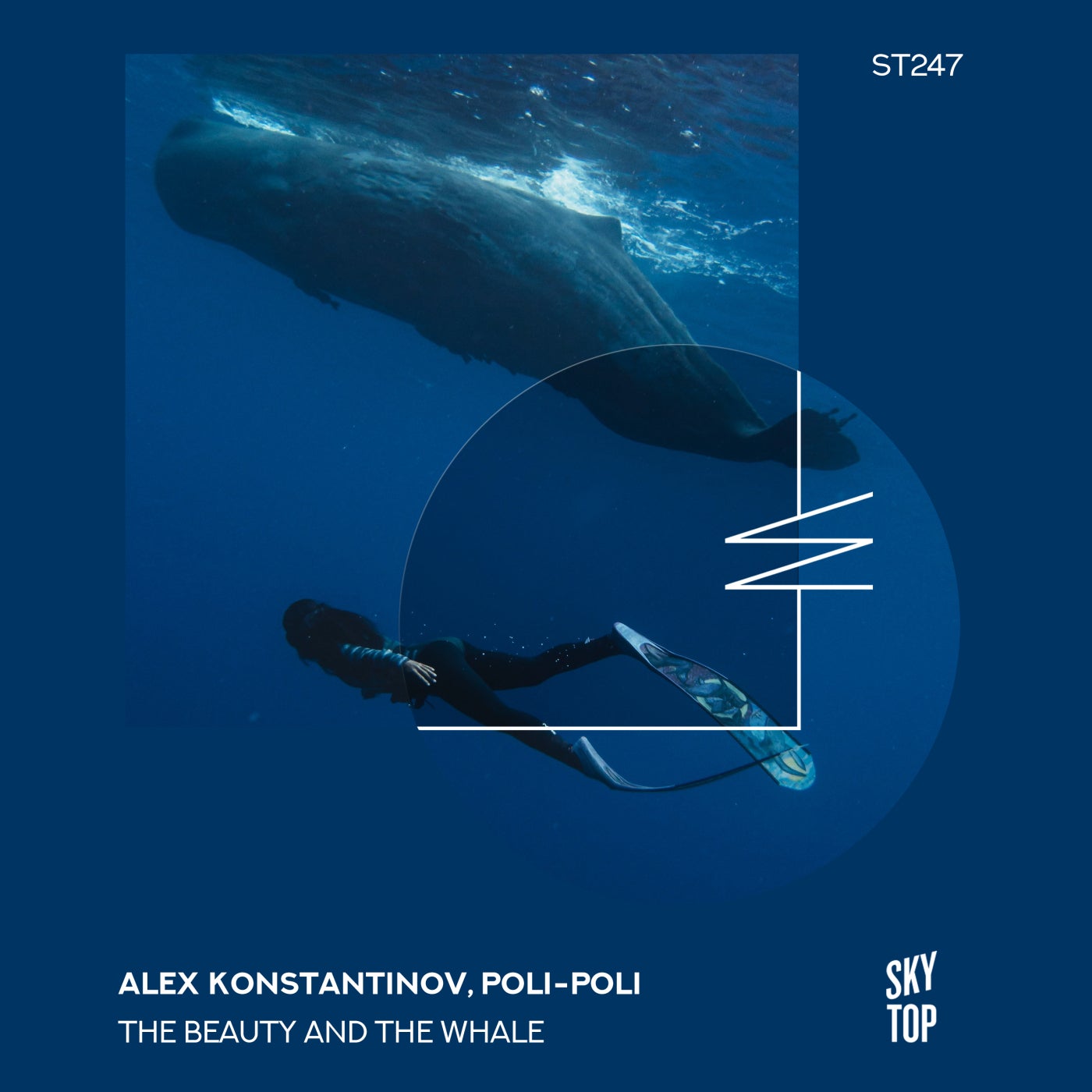 Cover - Alex Konstantinov, Poli-Poli - The Beauty and the Whale (Extended Mix)