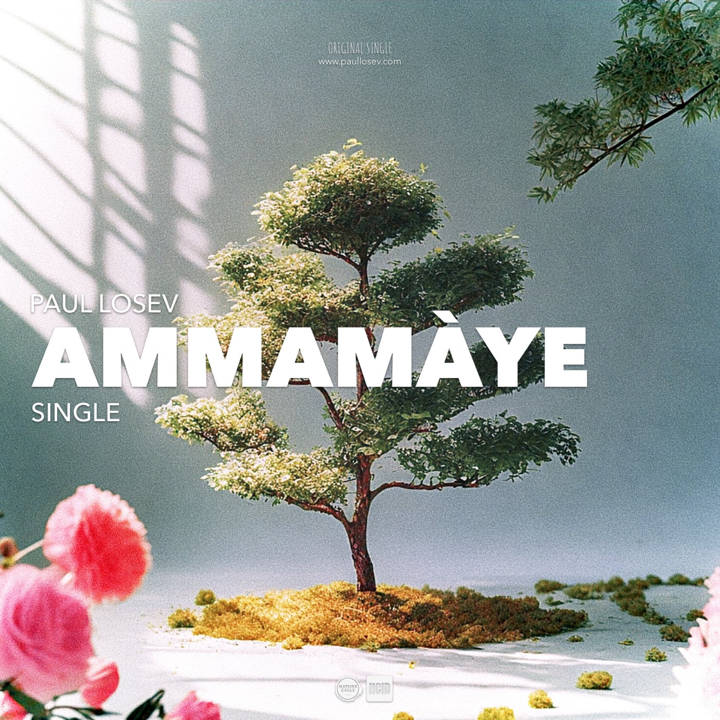 Cover - Paul Losev - Ammamàye (Original Mix)