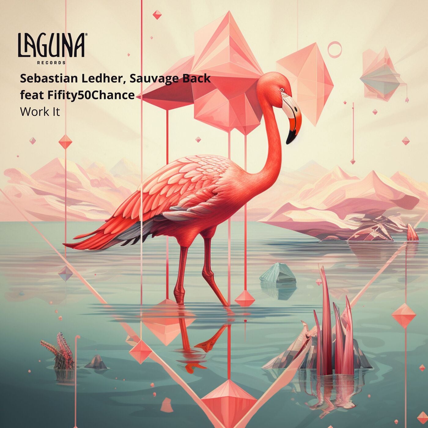 Cover - Sebastian Ledher, Sauvage back - Work It (Original Mix)