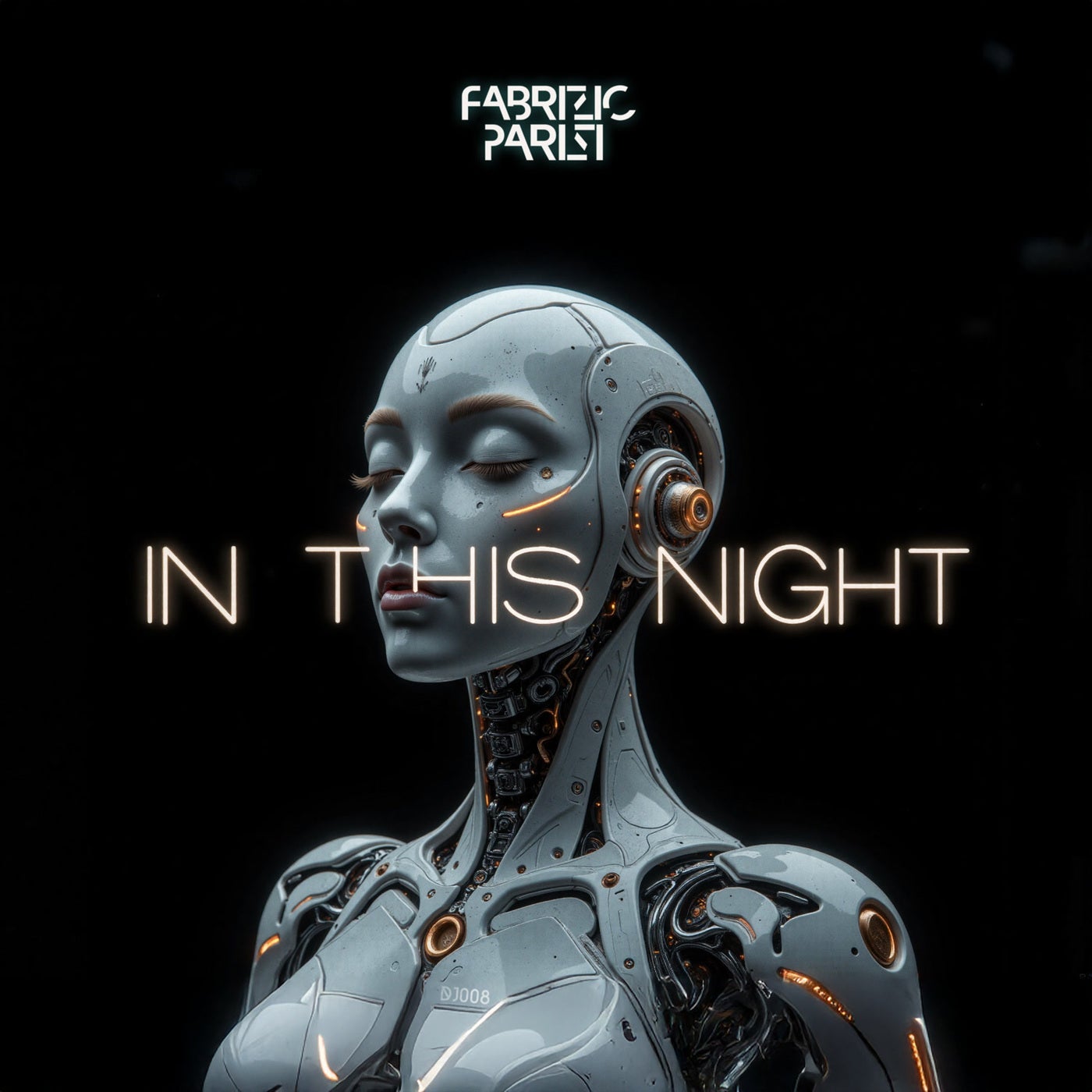 Cover - Fabrizio Parisi - In This Night (Extended Mix)