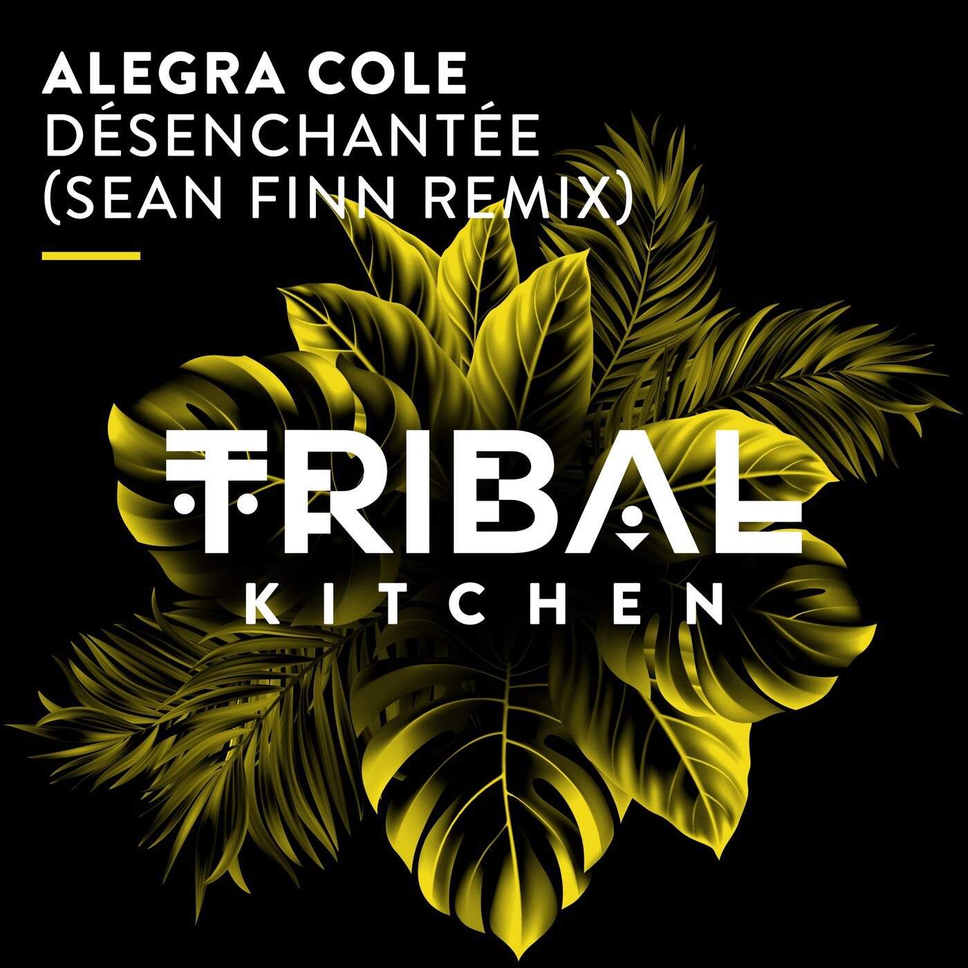 Cover - Alegra Cole - Désenchantée (Sean Finn Extended Remix)