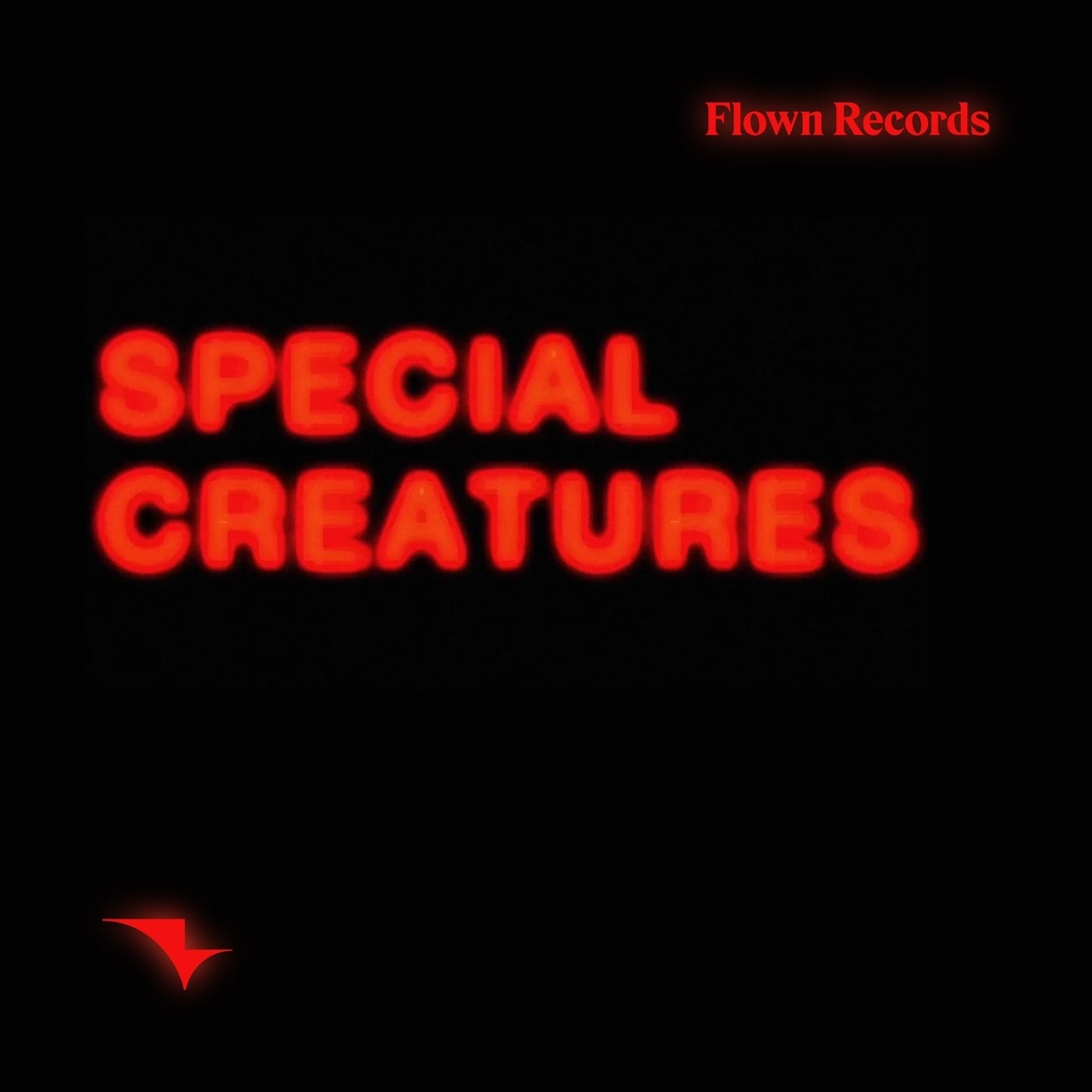 Cover - Scippo - Special Creatures (Original Mix)