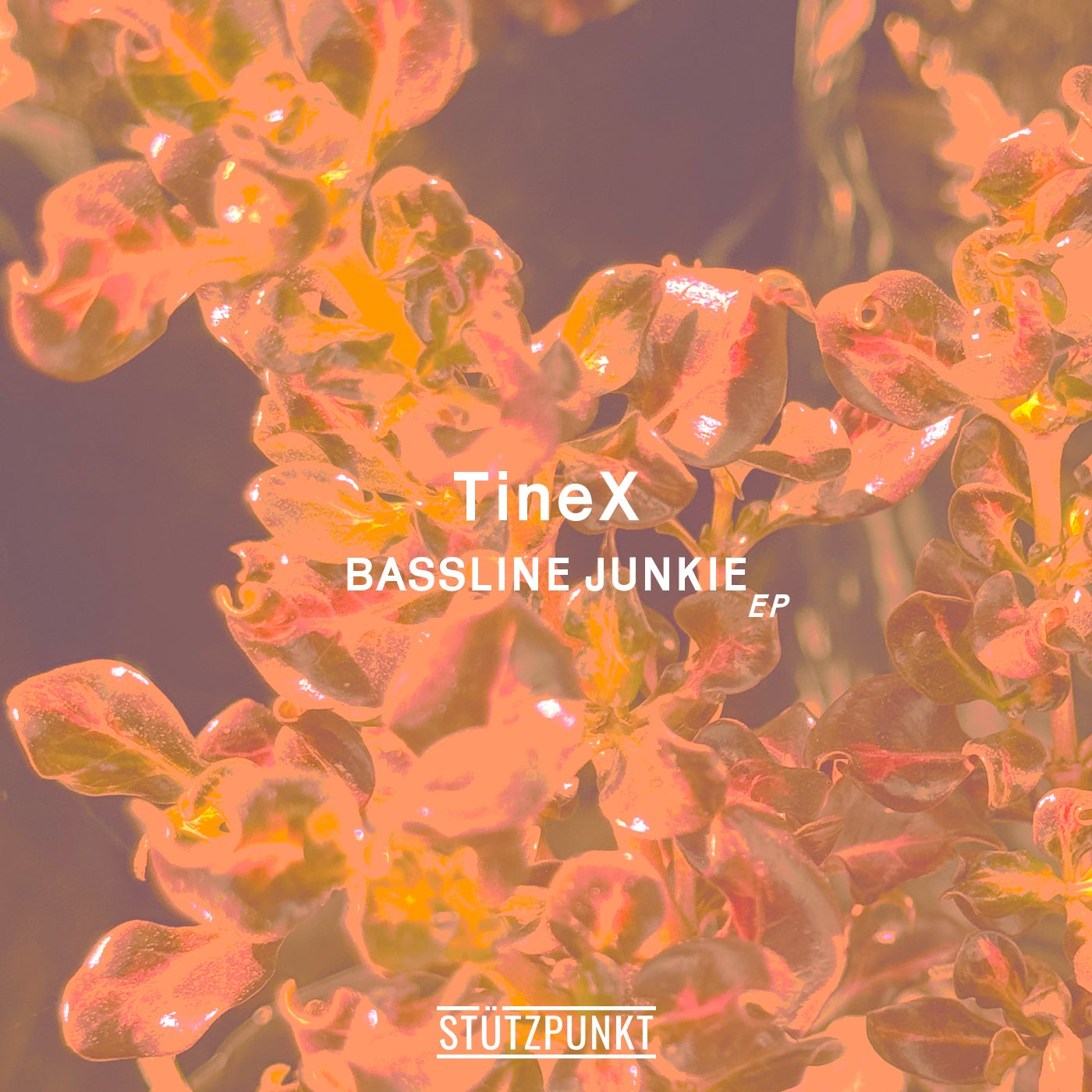 Cover - TineX, STÜTZPUNKT - Bassline Junkie (Original Mix)