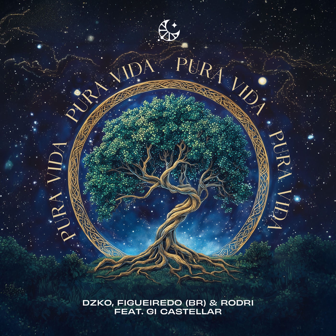 Cover - DZKO, Rodri, LEMON DROPS, Figueiredo (BR), Gi Castellar - Pura Vida (feat. Gi Castellar & LEMON DROPS) (feat. Gi Castellar & LEMON DROPS)