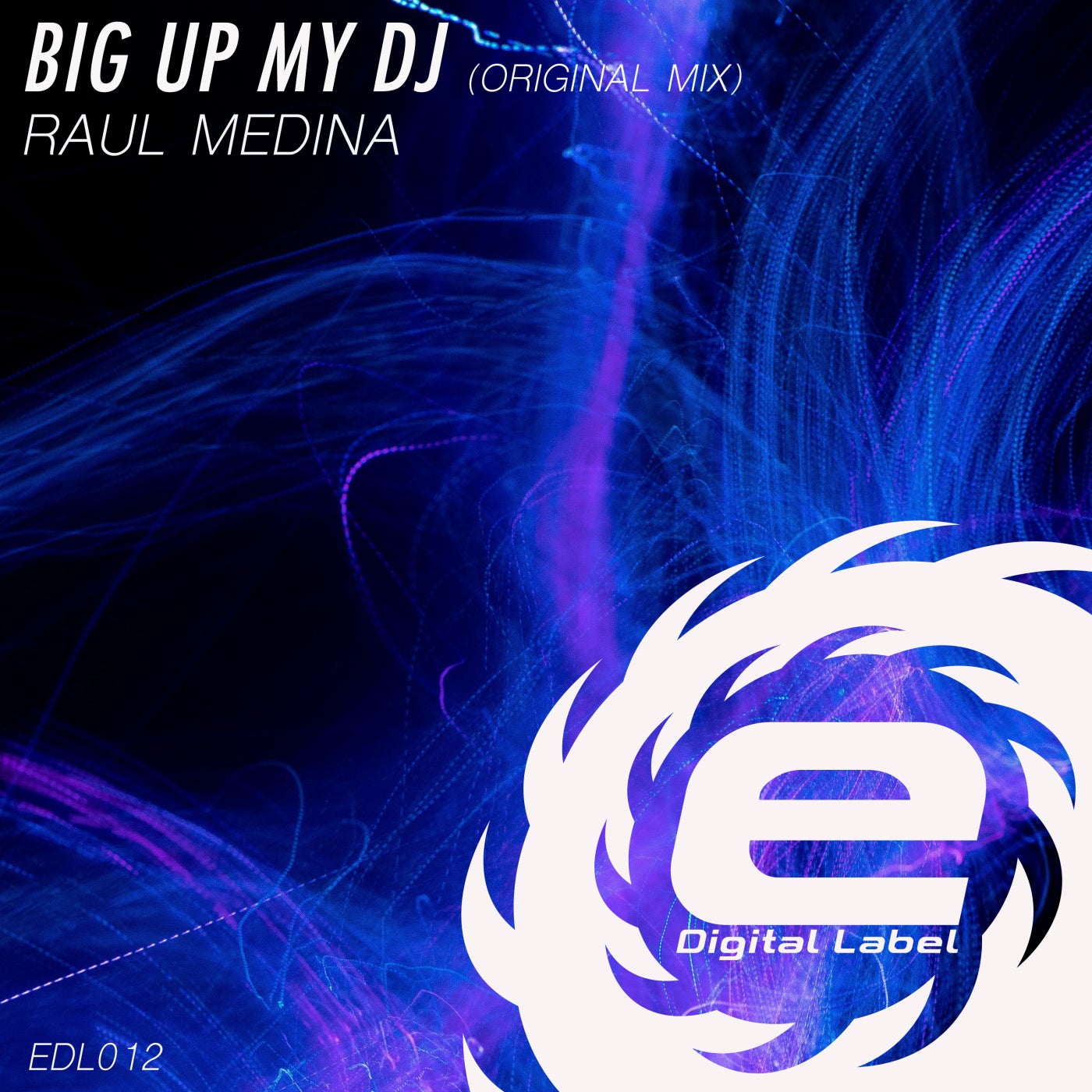 Cover - Raul Medina - Big Up My Dj (Original Mix)