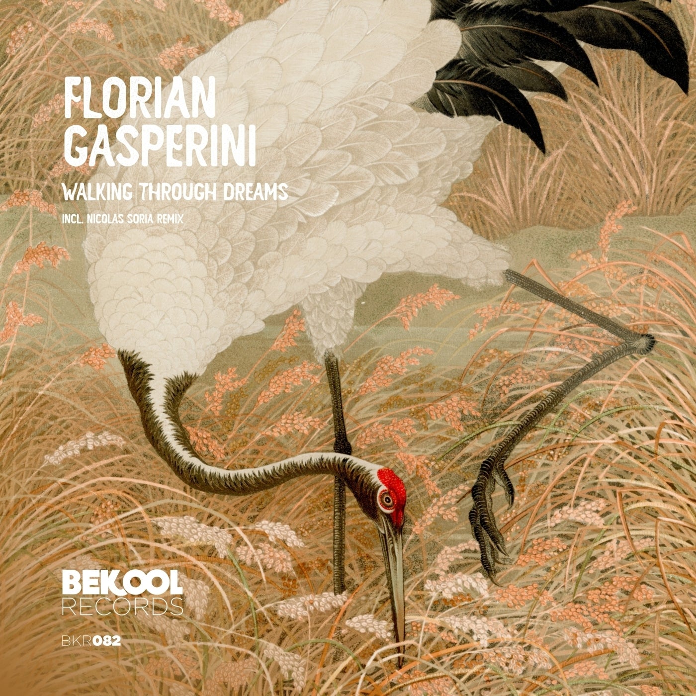 Cover - Florian Gasperini - Walking Through Dreams (Nicolas Soria Remix)