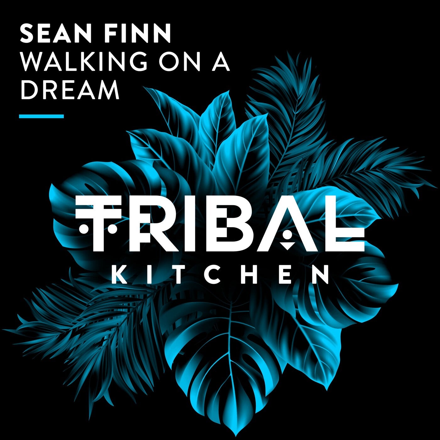 Cover - Sean Finn - Walking on a Dream (Extended Mix)