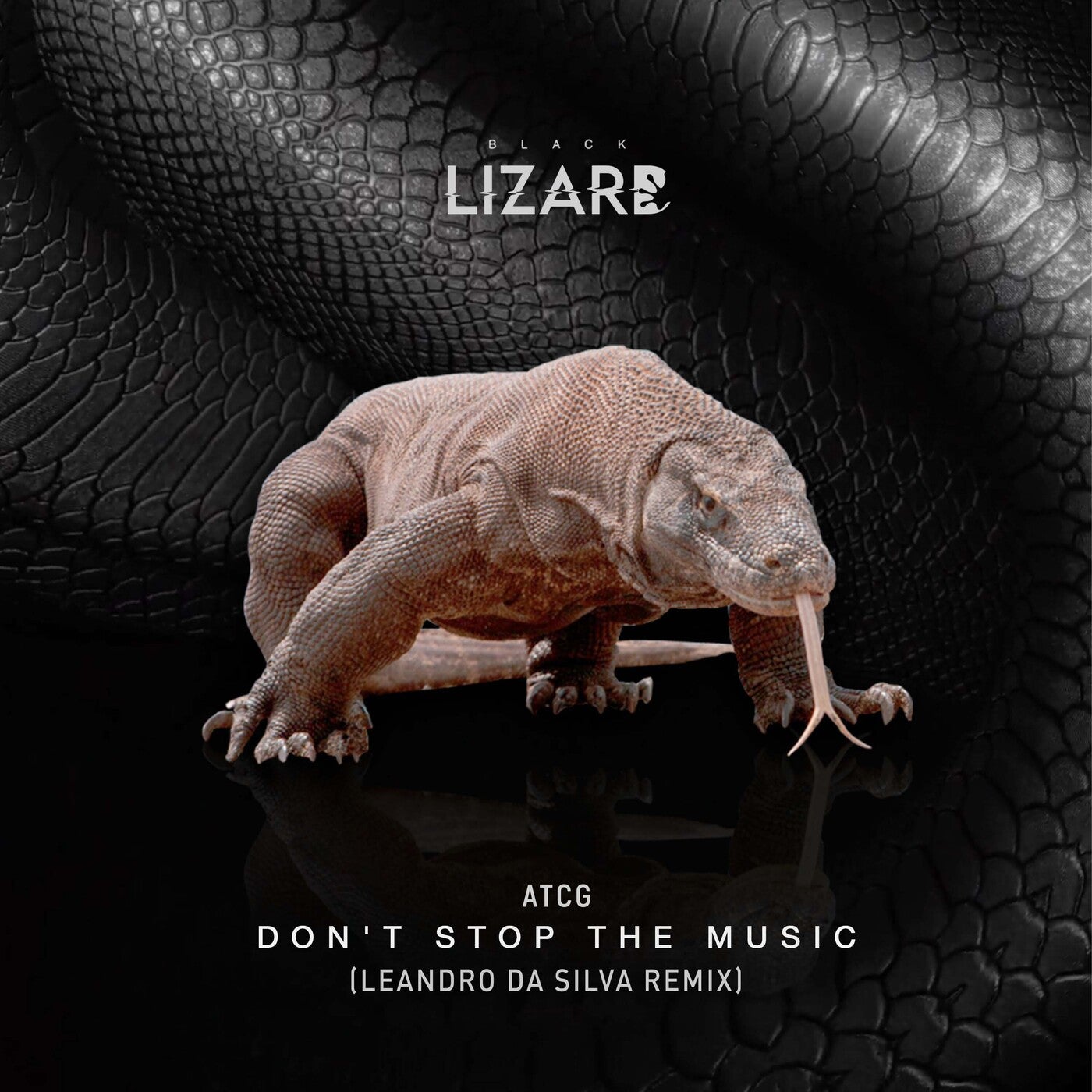Cover - AtcG, Leandro Da Silva - Dont Stop The Music (Leandro Da Silva Remix)