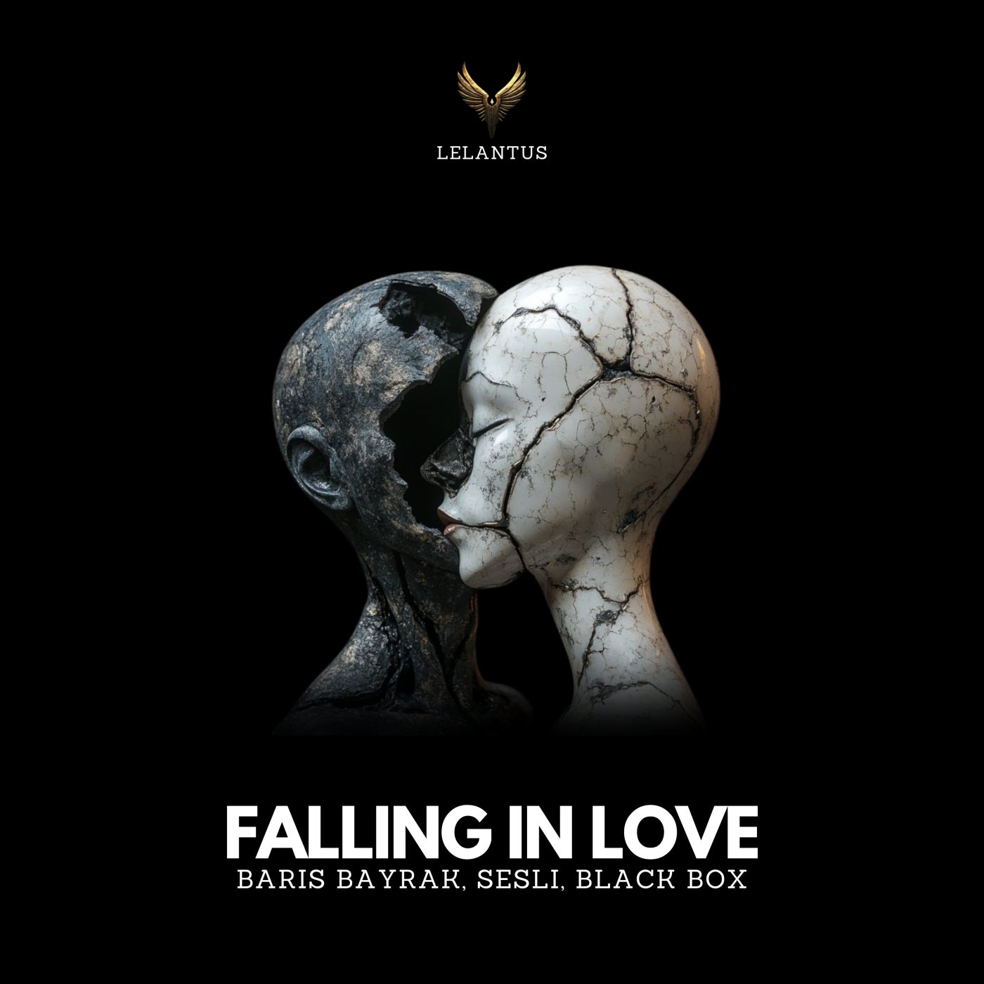 Cover - BLACK BOX, Baris Bayrak, Sesli - Falling in Love (Nihil Young Remix)