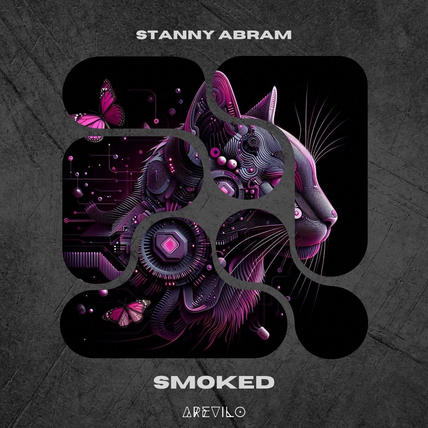 Cover - Stanny Abram - Wild Style (Original Mix)