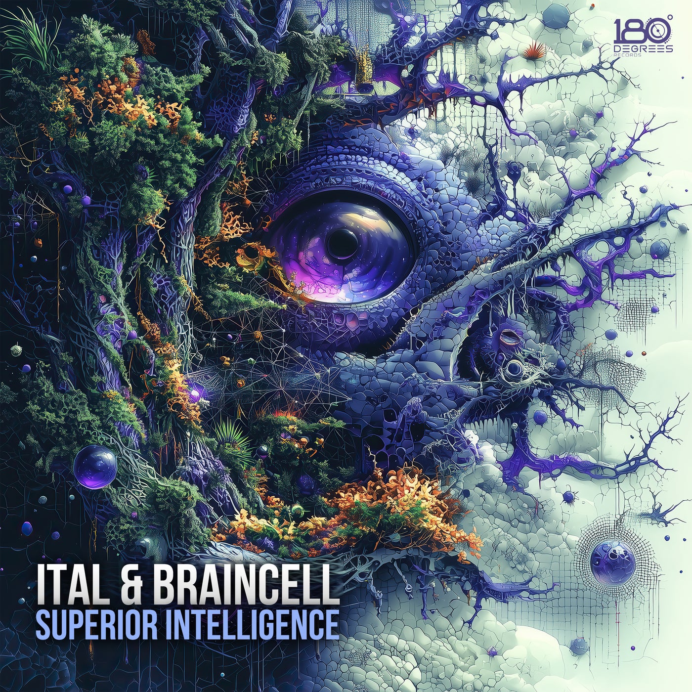 Cover - Braincell, Ital - Superior Intelligence (Original Mix)