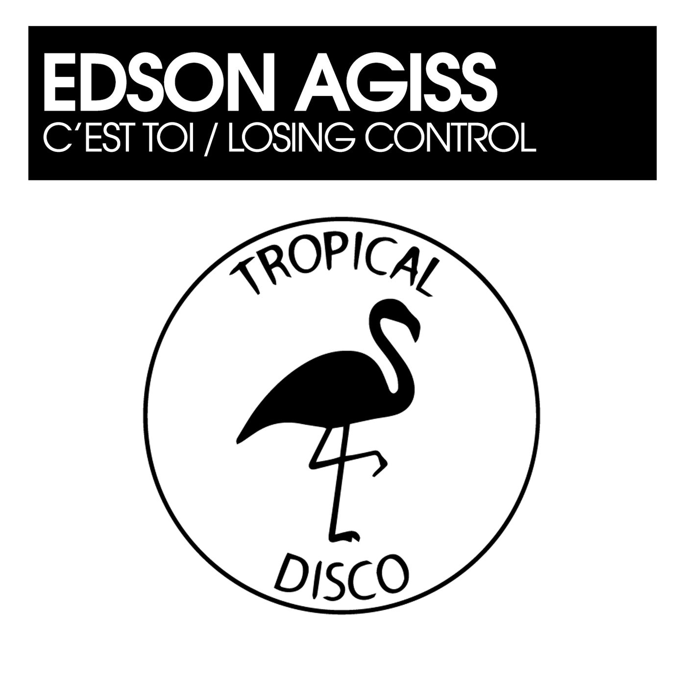 Cover - Edson Agiss - Losing Control (Original Mix)