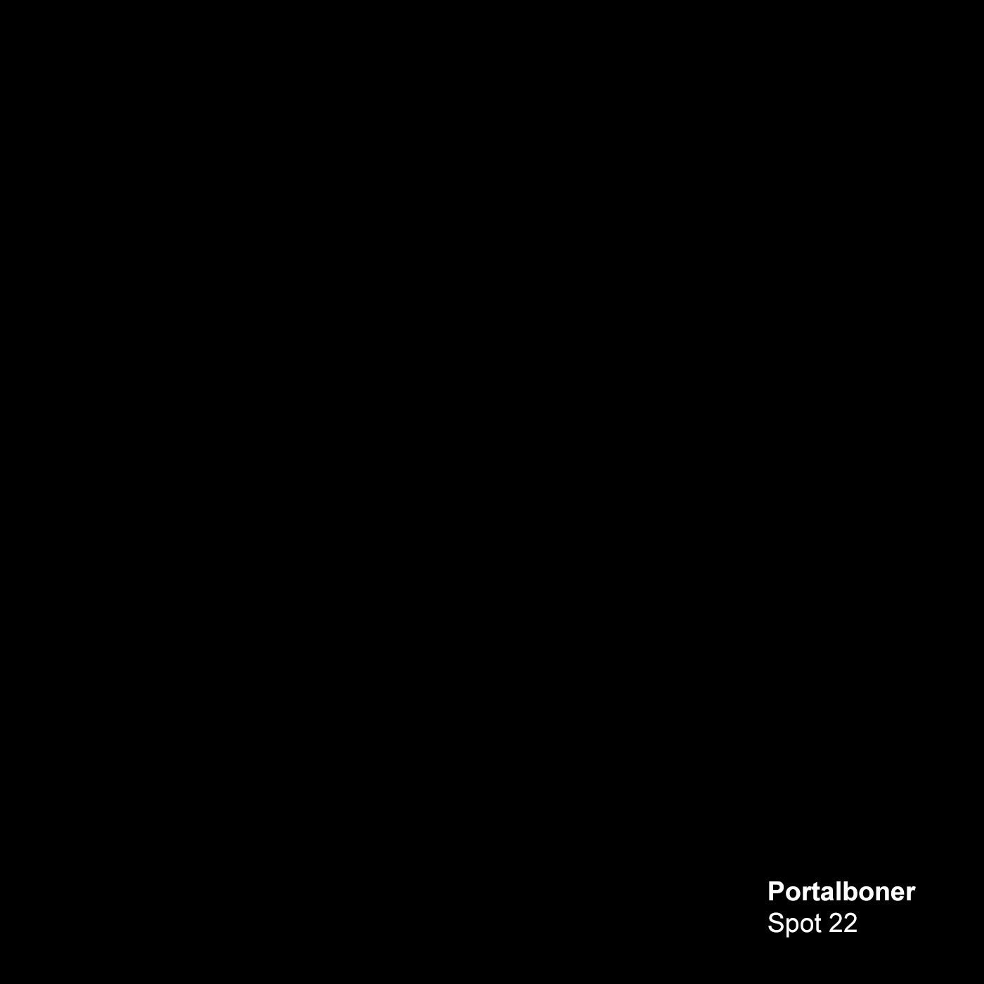 Cover - Portalboner - Spot 22 (Original Mix)