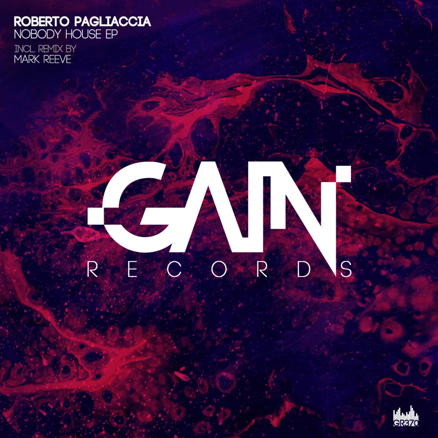 Cover - Roberto Pagliaccia - Nobody House (Original Mix)