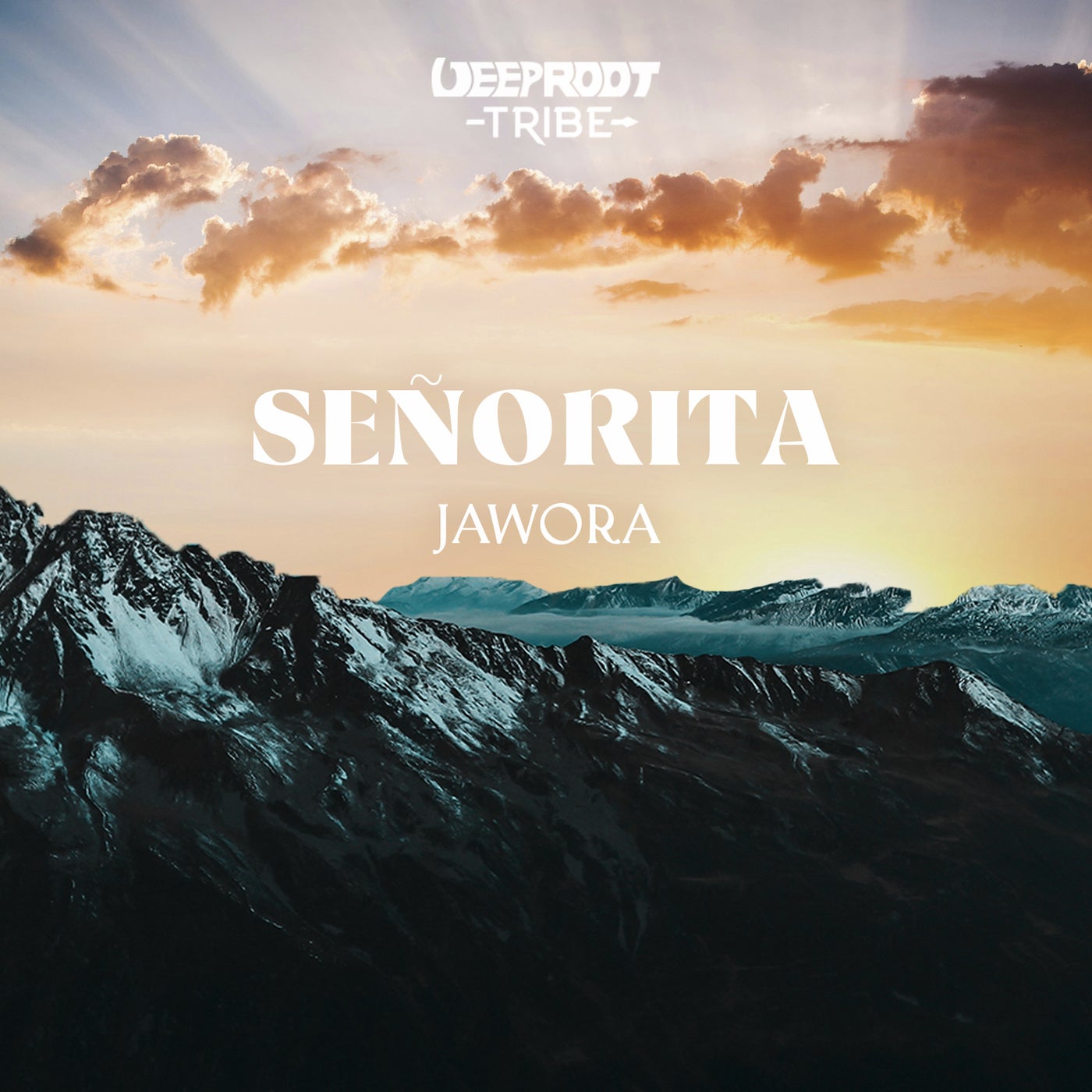 Cover - Jawora - Señorita (Original Mix)