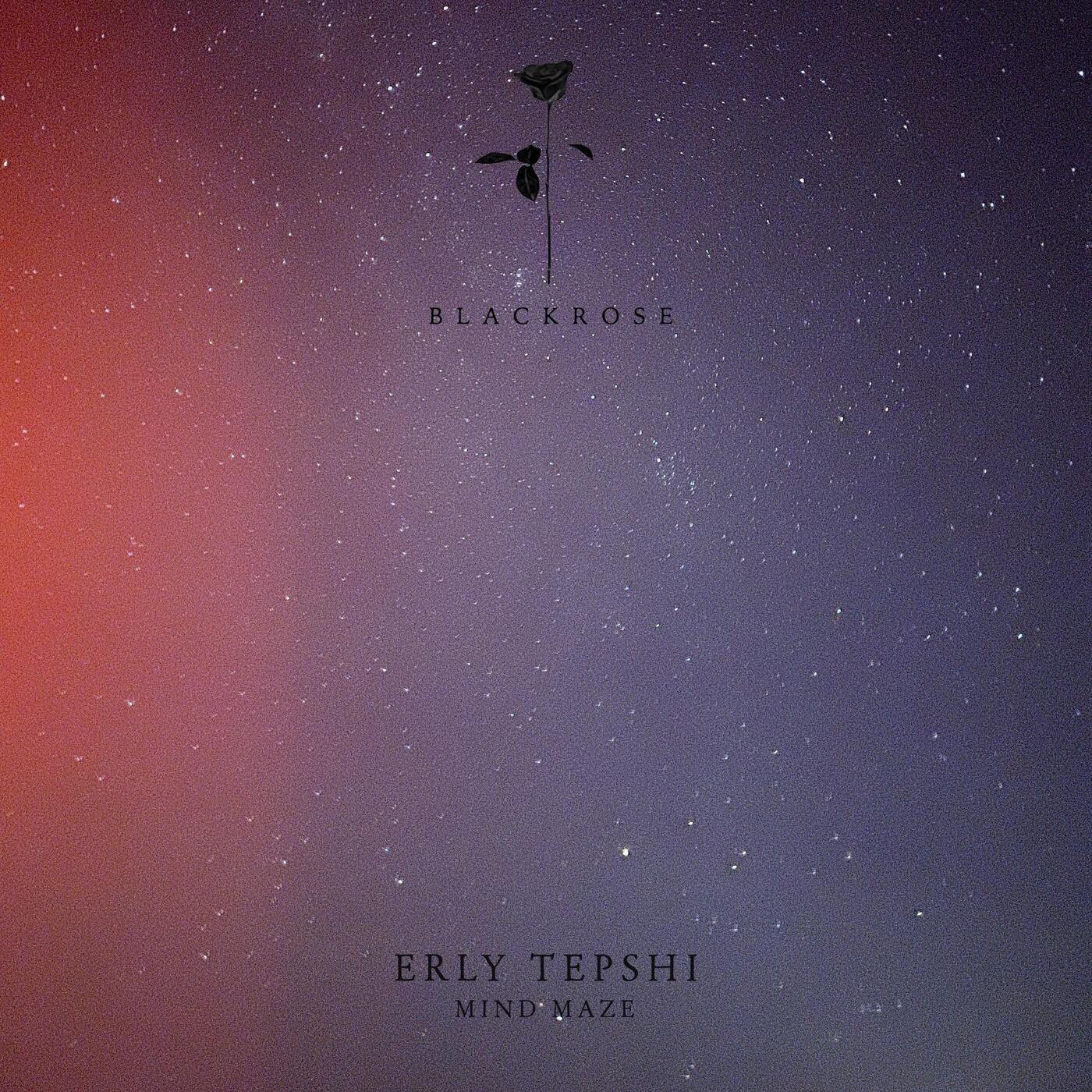 Cover - Erly Tepshi - Mind Maze (Original Mix)