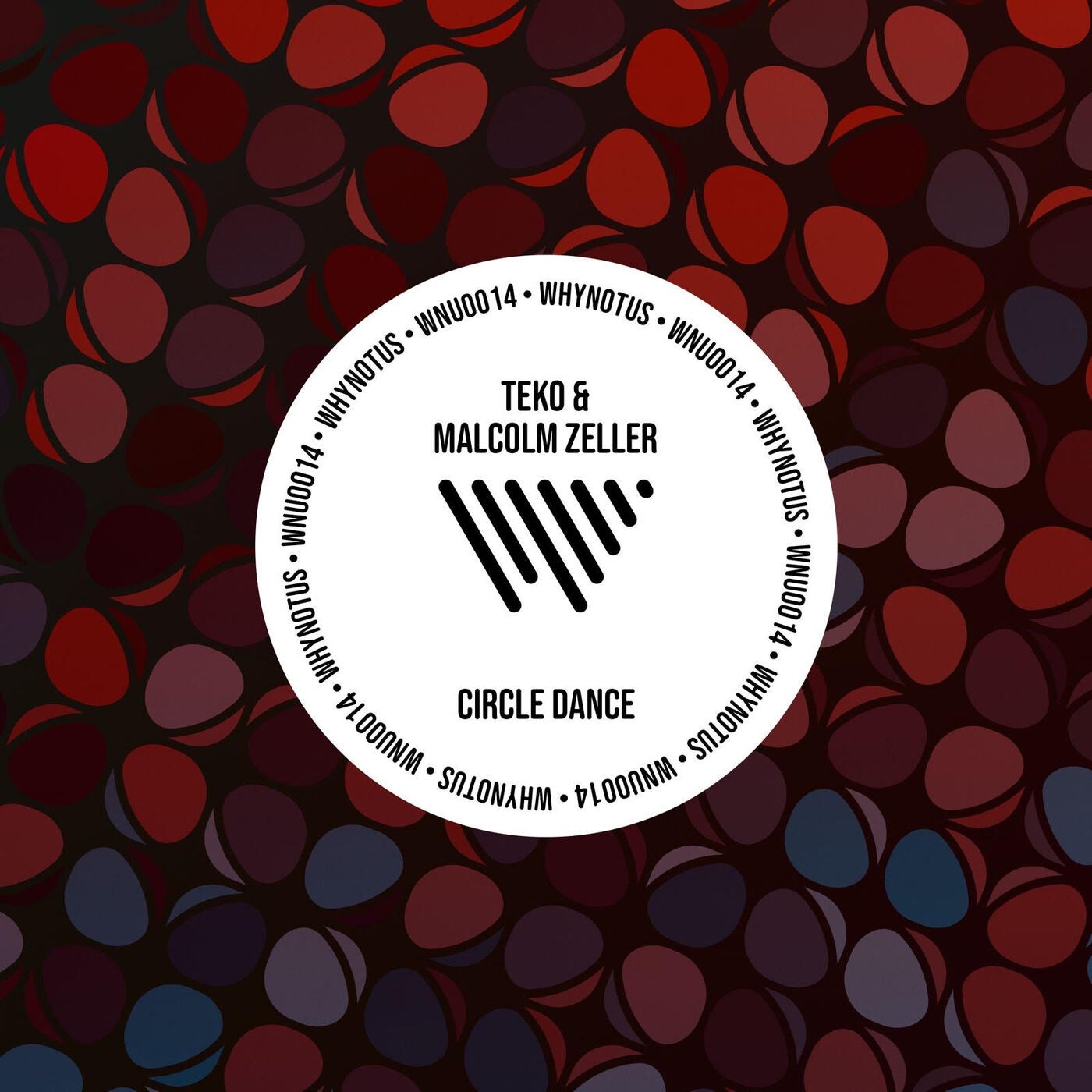 Cover - TEKO, Malcolm Zeller - Circle Dance  (Original Mix)