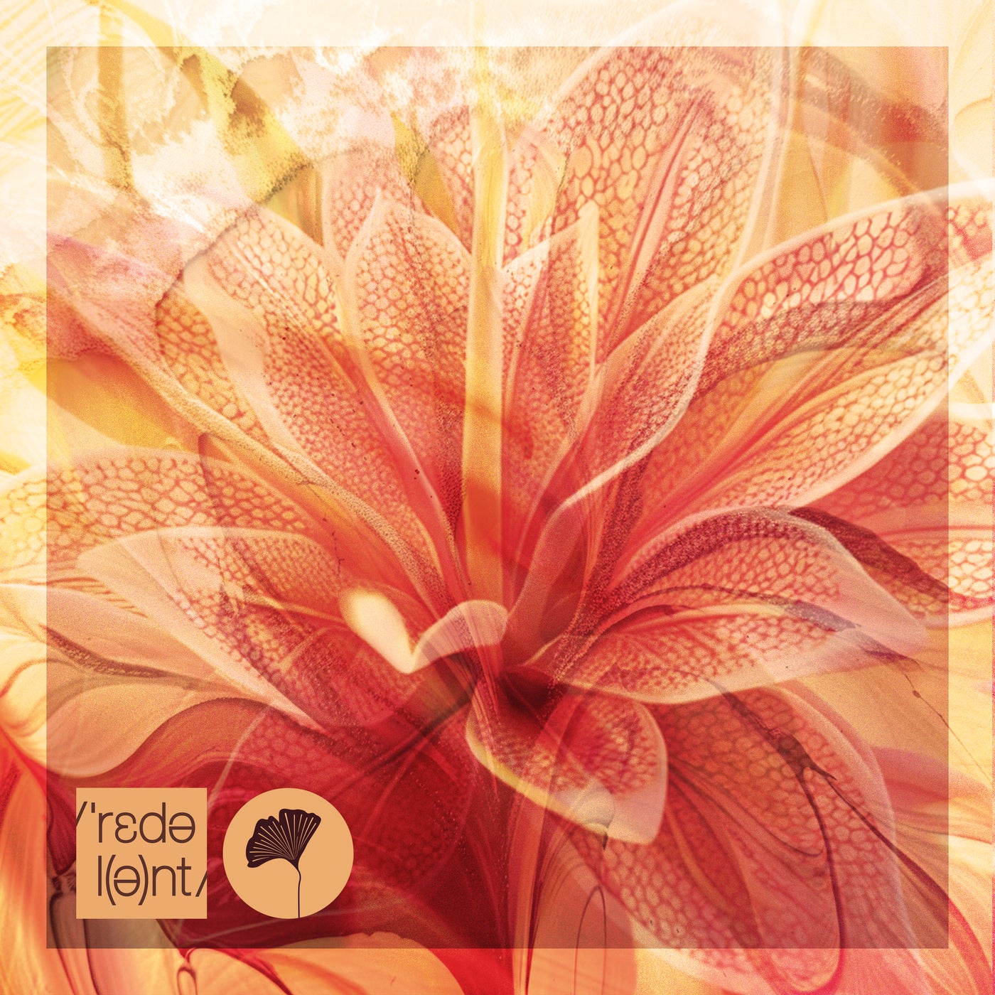 Cover - Tebra, Bakean - Outra Vez (Original Mix)