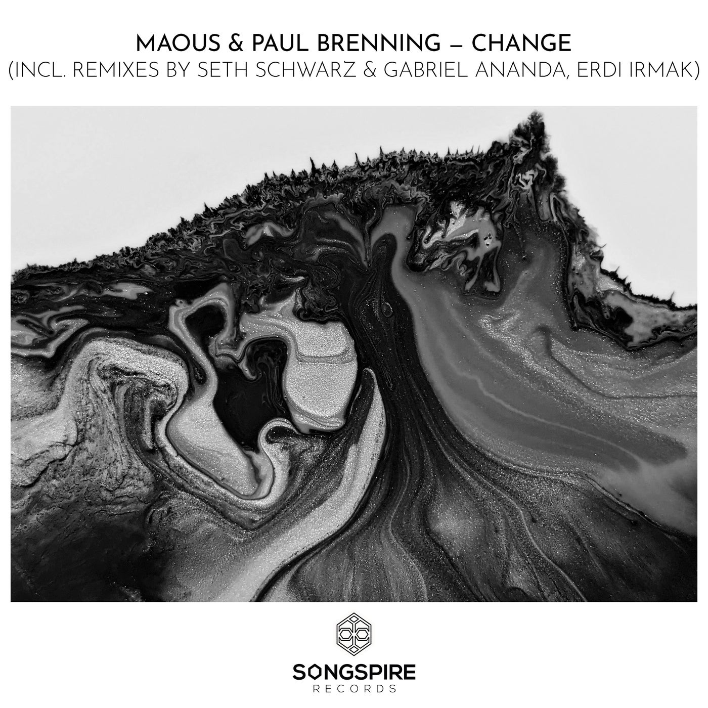 Cover - Paul Brenning, Maous - Change (Erdi Irmak Remix)