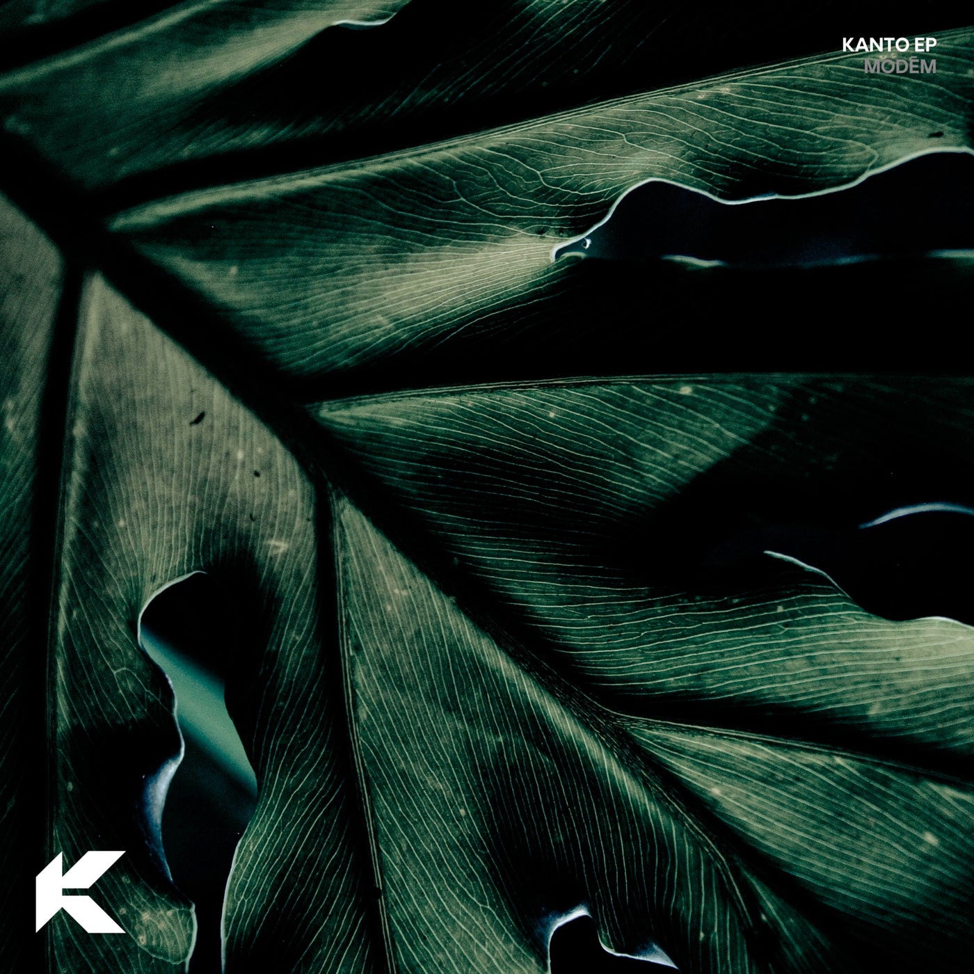 Cover - Modem - Houndoom (Original Mix)