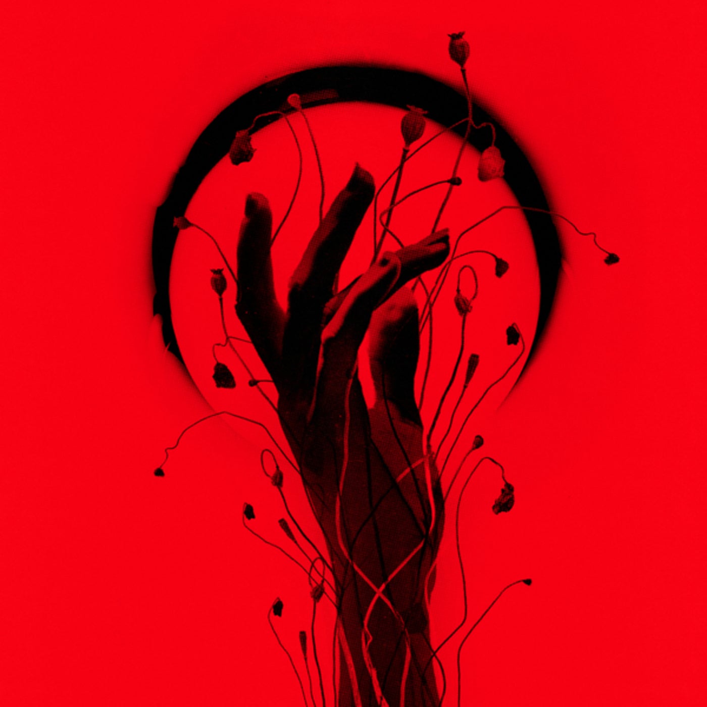 Cover - Rhode, IMANU - All Too Late (Original Mix)