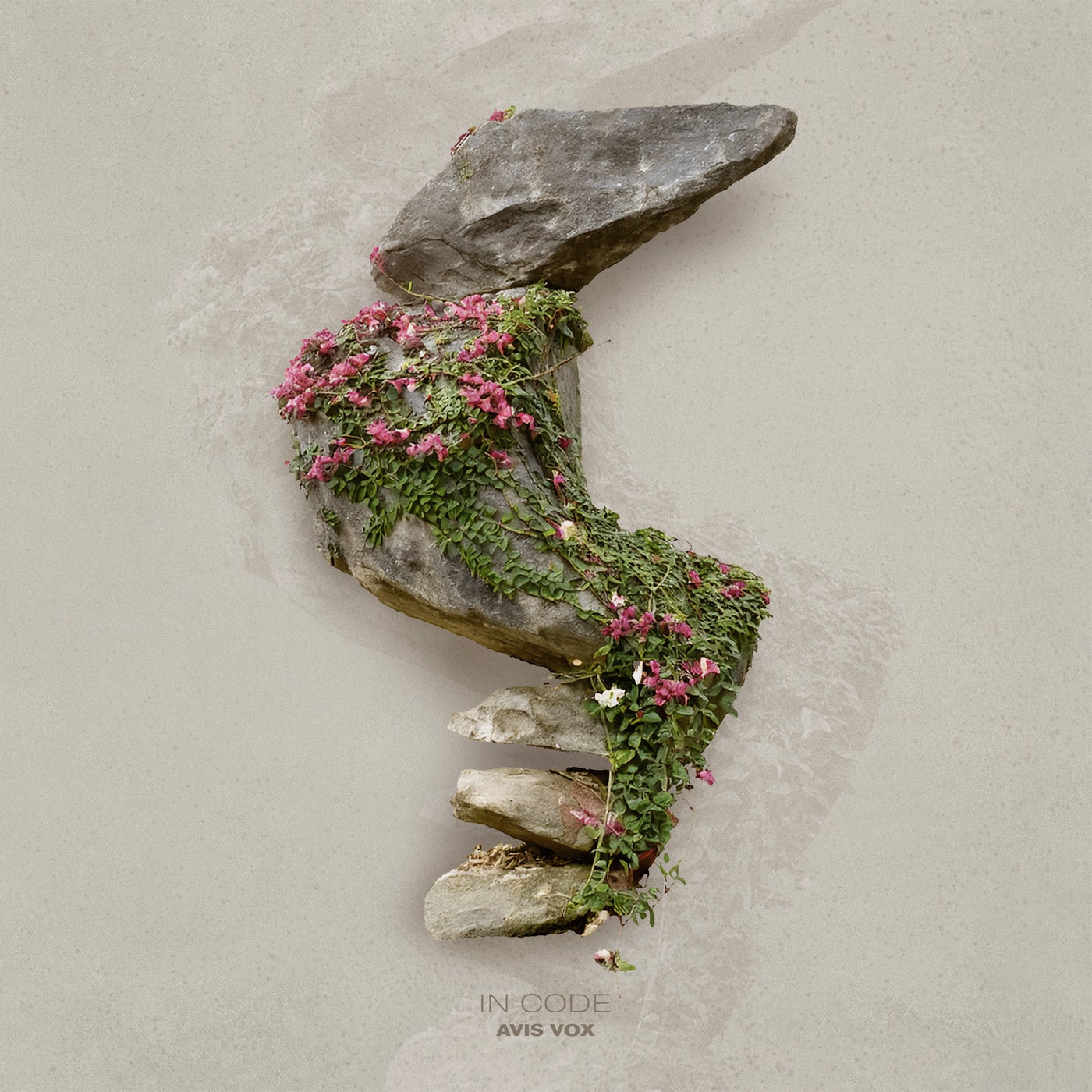 Cover - Avis Vox - Osculum (Original Mix)