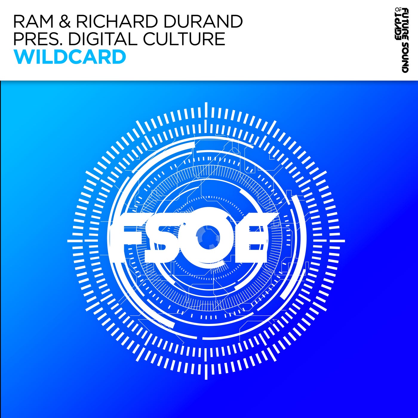 Cover - Richard Durand, RAM, Digital Culture - Wildcard (Extended Mix)