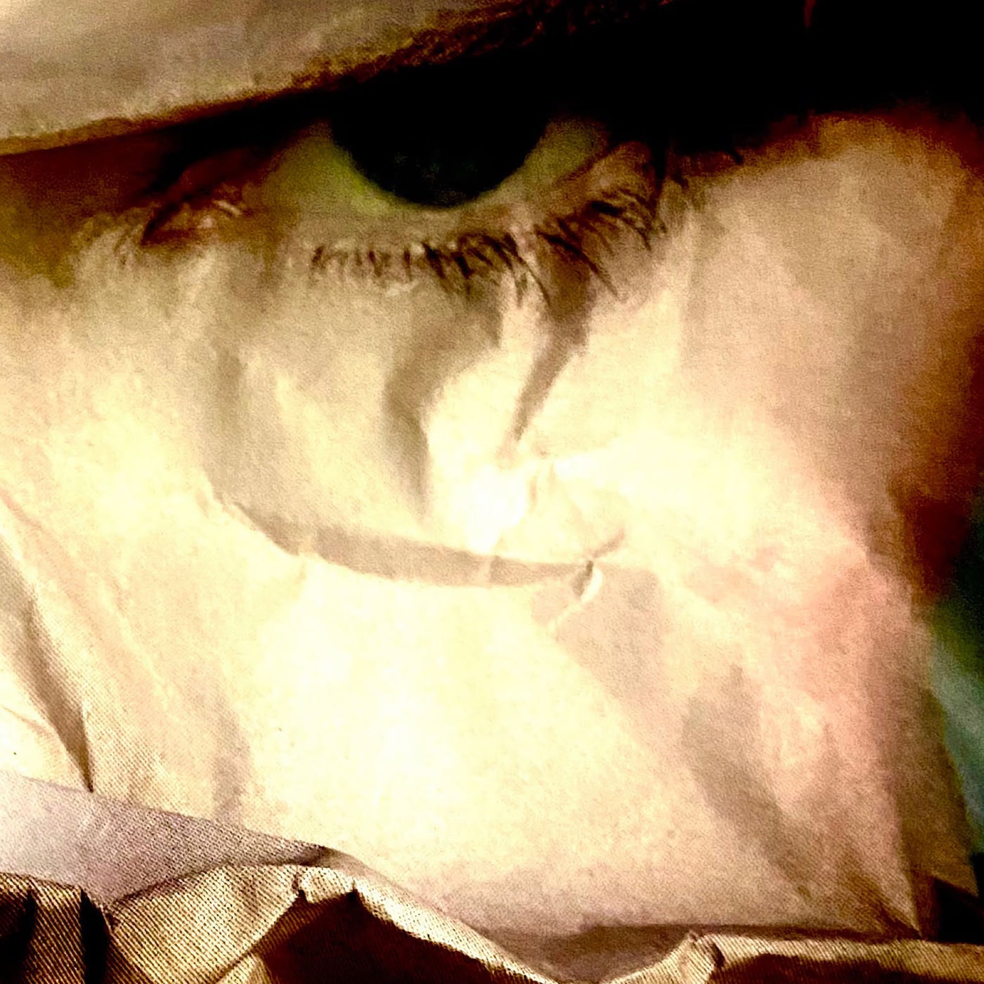 Cover - Fish Go Deep - All In Everything (6th Borough Project Disco Dub)