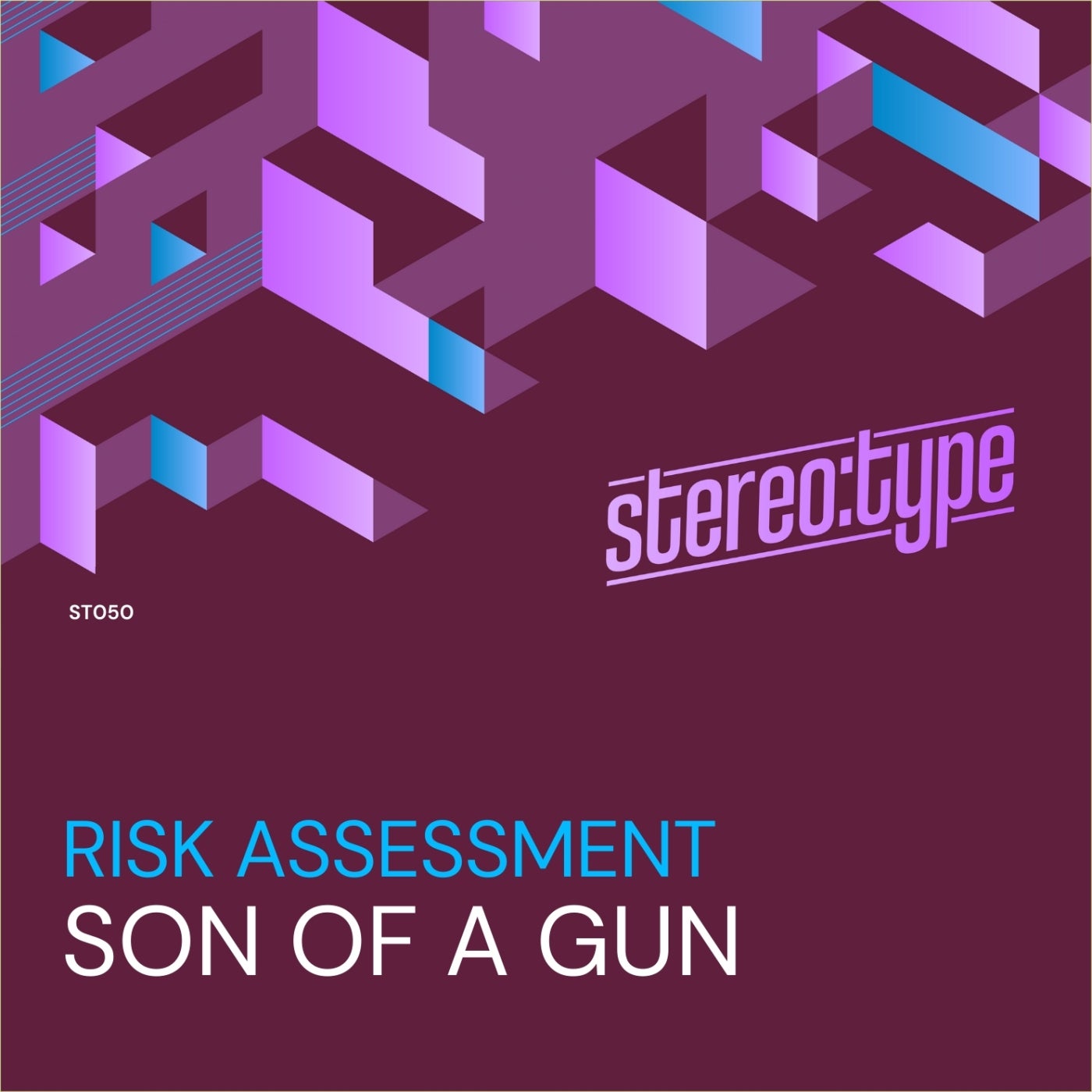 Cover - Risk Assessment - Son Of A Gun (Original Mix)