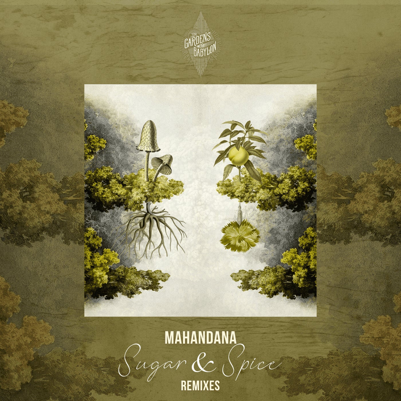 Cover - Mahandana - Blossom (Audio Junkies Remix)