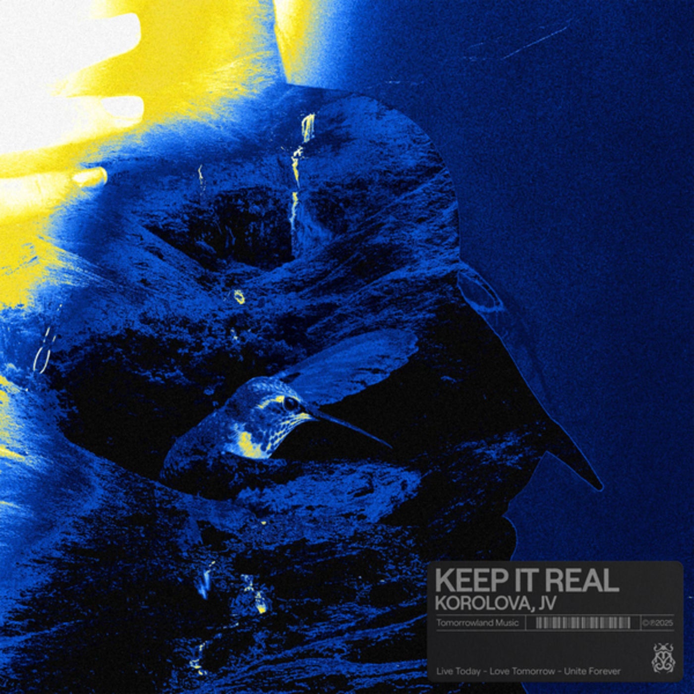 Cover - Korolova, JV (ZA) - Keep It Real (Extended Mix)