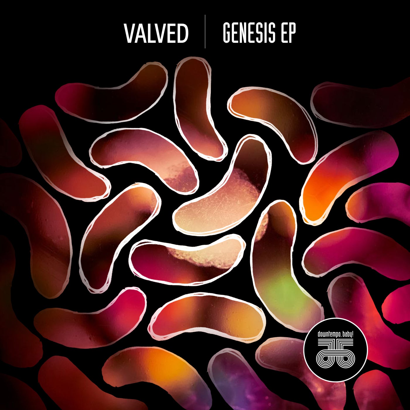 Cover - Valved - Metaphysica (Slowed Version)